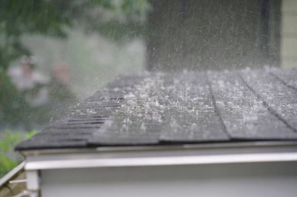 Roof Insulation in Bardmoor, FL