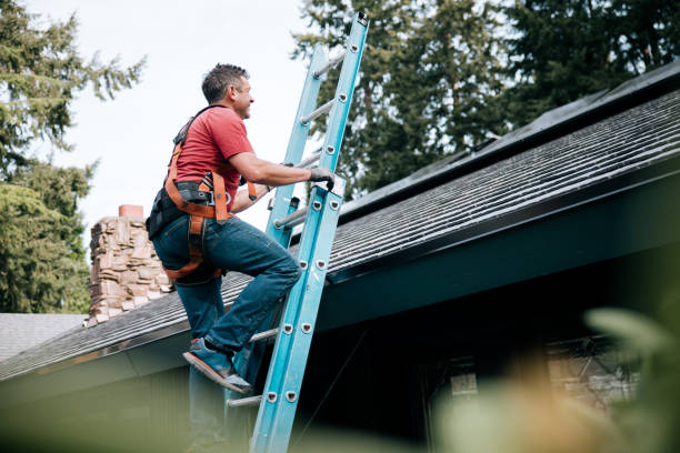 Best Rubber Roofing (EPDM, TPO)  in Bardmoor, FL