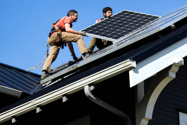 Best Roof Moss and Algae Removal  in Bardmoor, FL