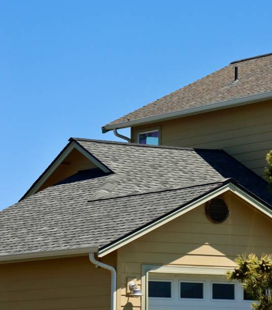 Best Sheet Metal Roofing  in Bardmoor, FL